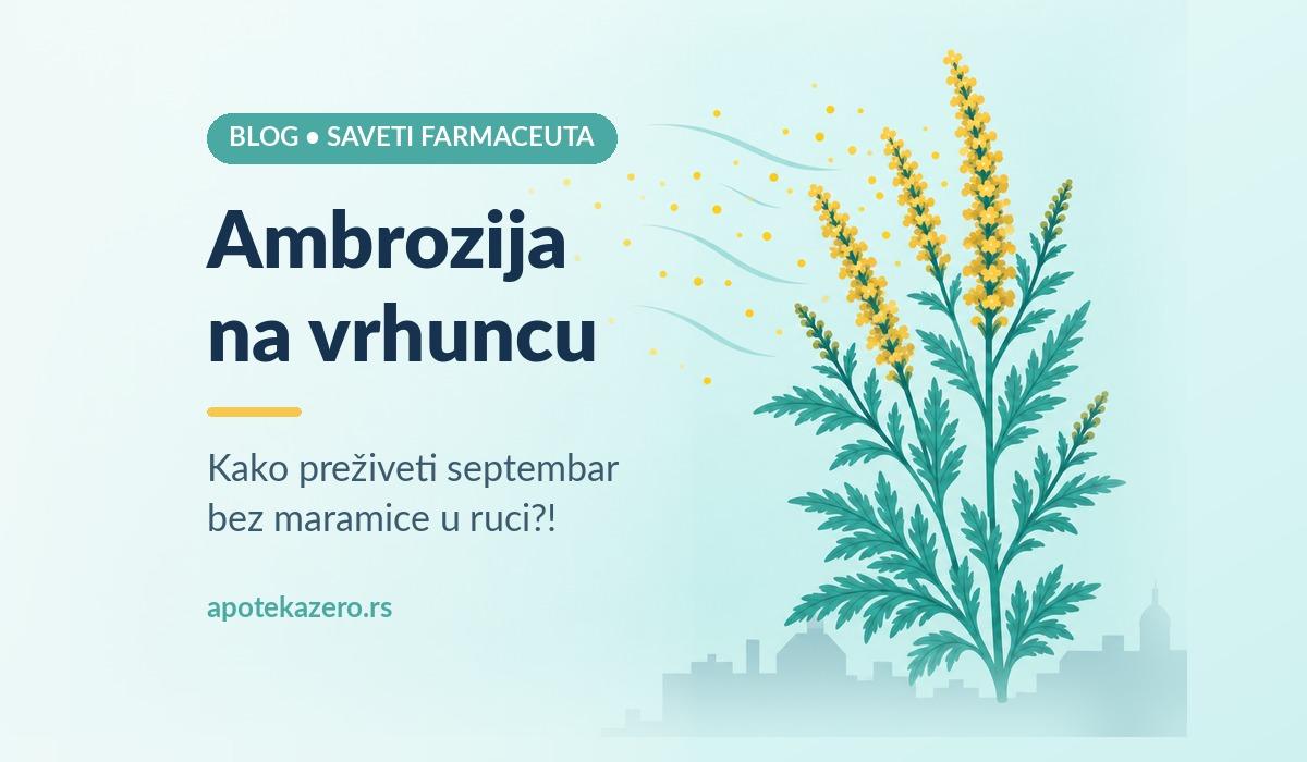 Ambrozija na vrhuncu: kako preživeti septembar bez maramice u ruci?!